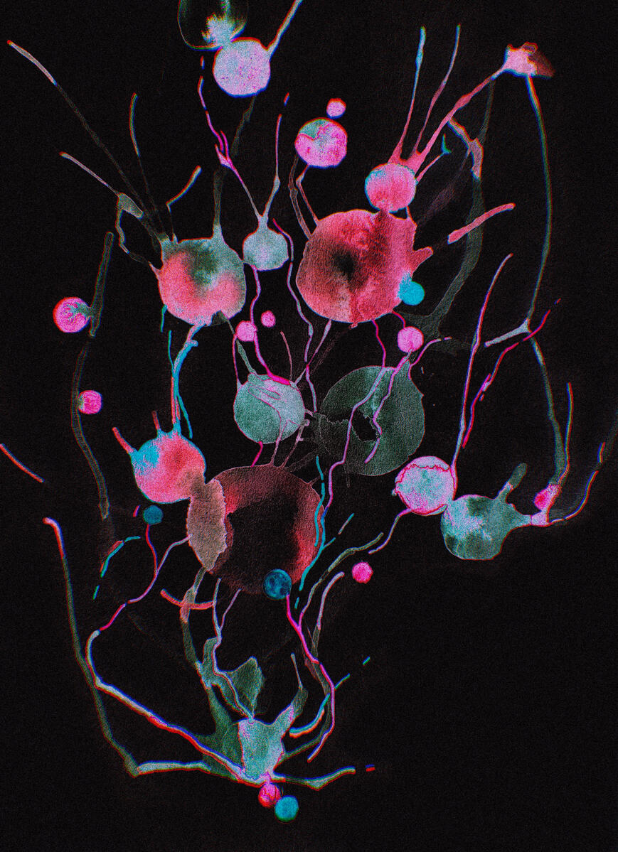 neurons